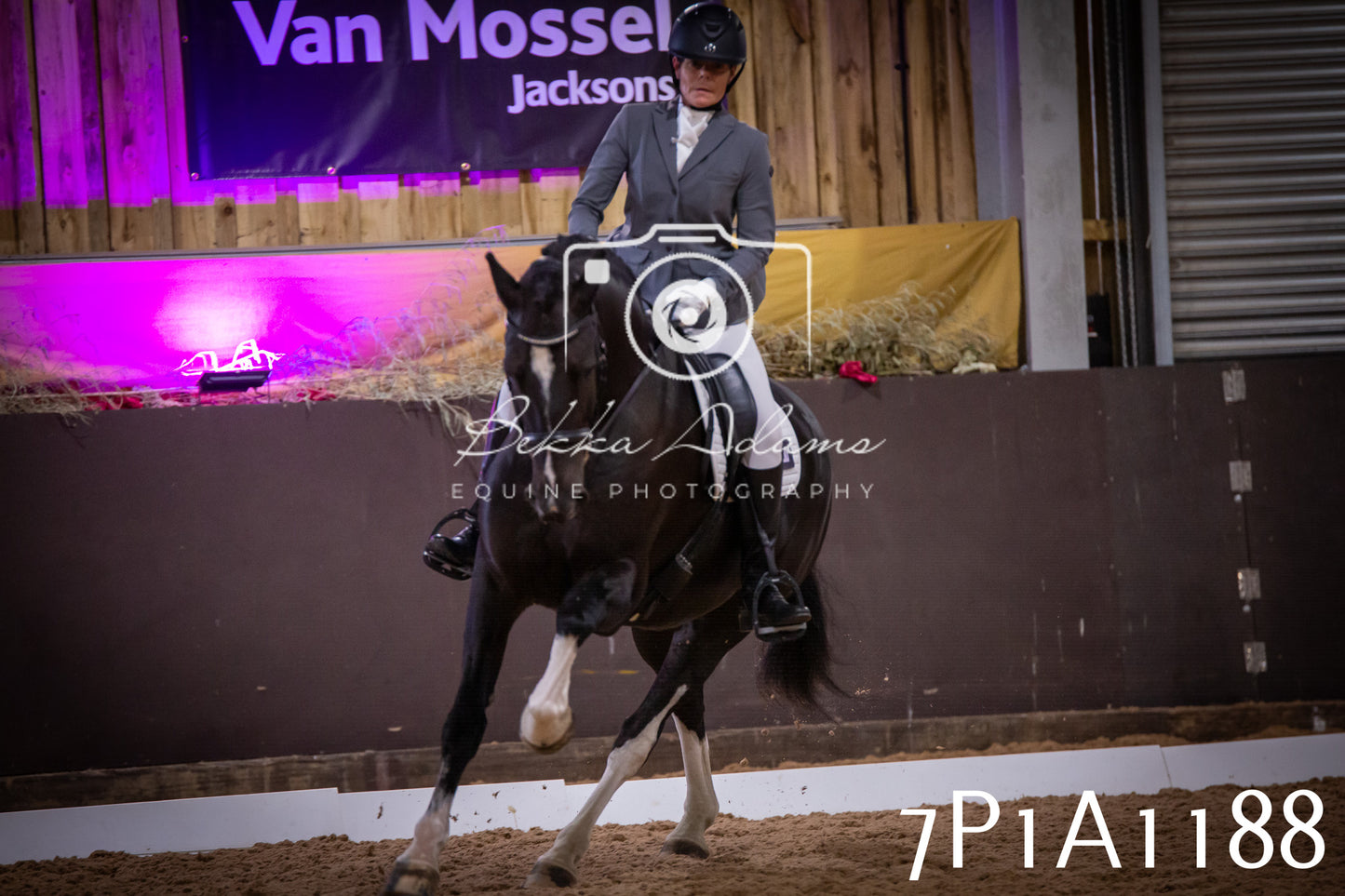 JHOYS 2025 - Dressage - 14th September pt1