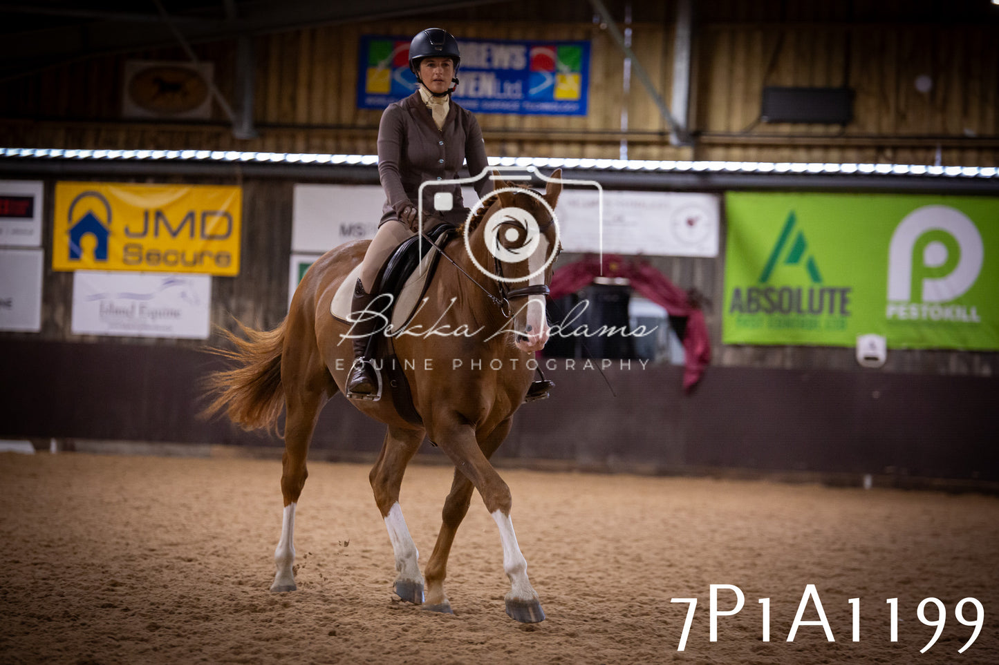 JHOYS 2025 - Dressage - 14th September pt1