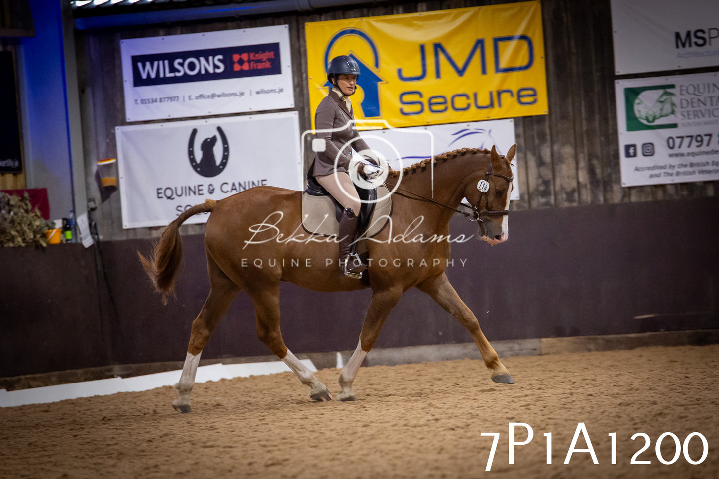 JHOYS 2025 - Dressage - 14th September pt1