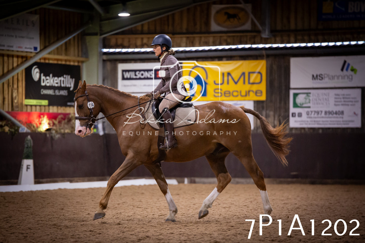 JHOYS 2025 - Dressage - 14th September pt1