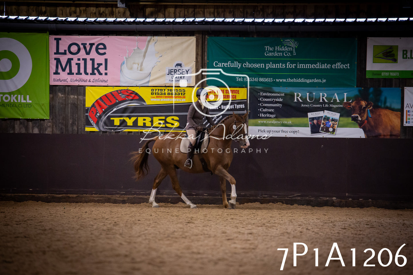 JHOYS 2025 - Dressage - 14th September pt1