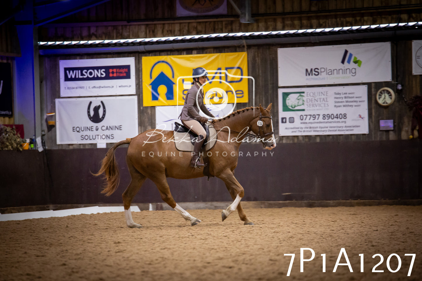 JHOYS 2025 - Dressage - 14th September pt1