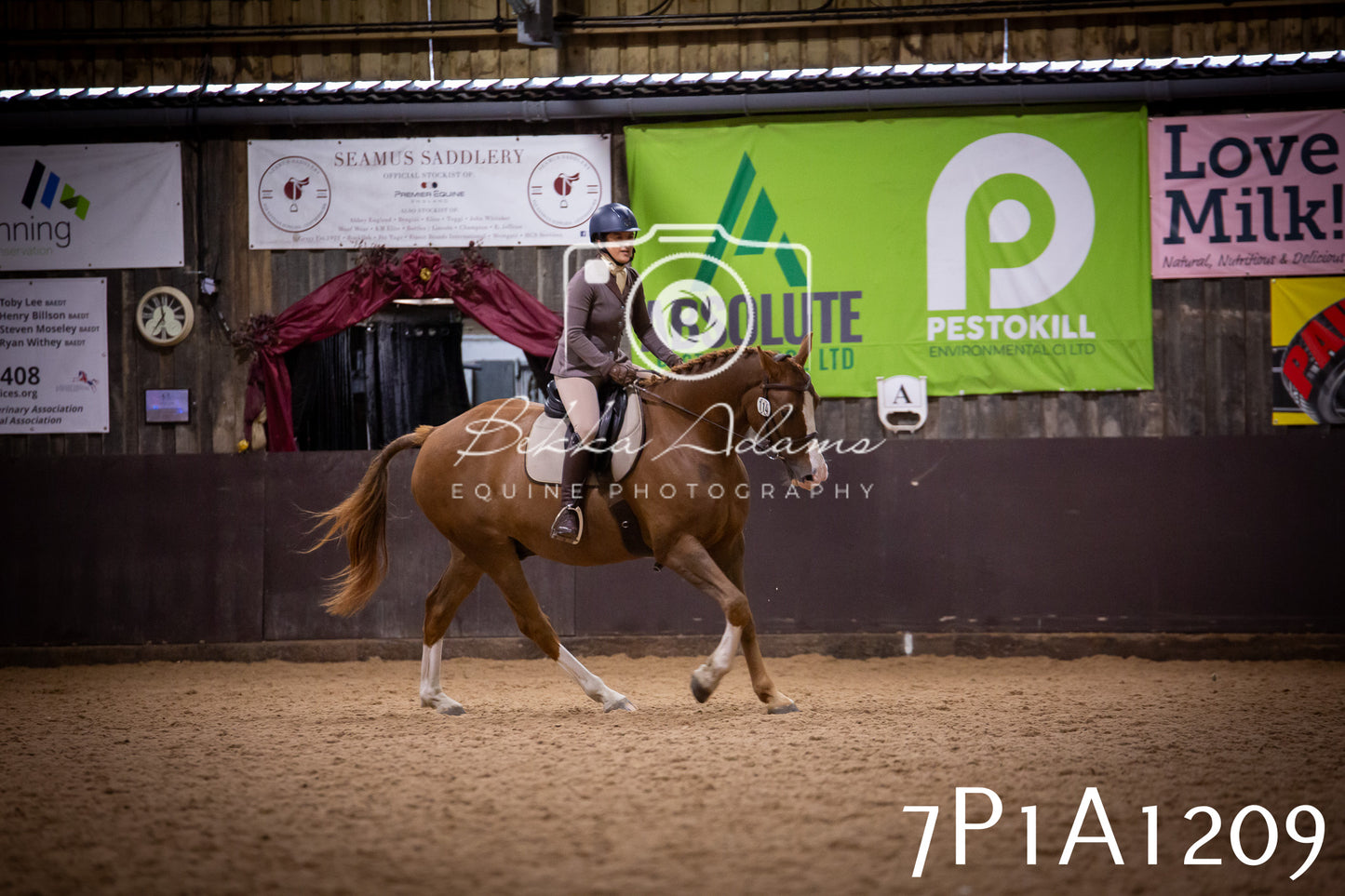 JHOYS 2025 - Dressage - 14th September pt1