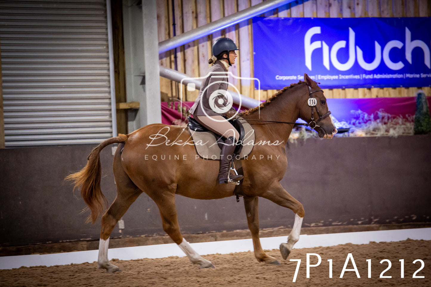 JHOYS 2025 - Dressage - 14th September pt1