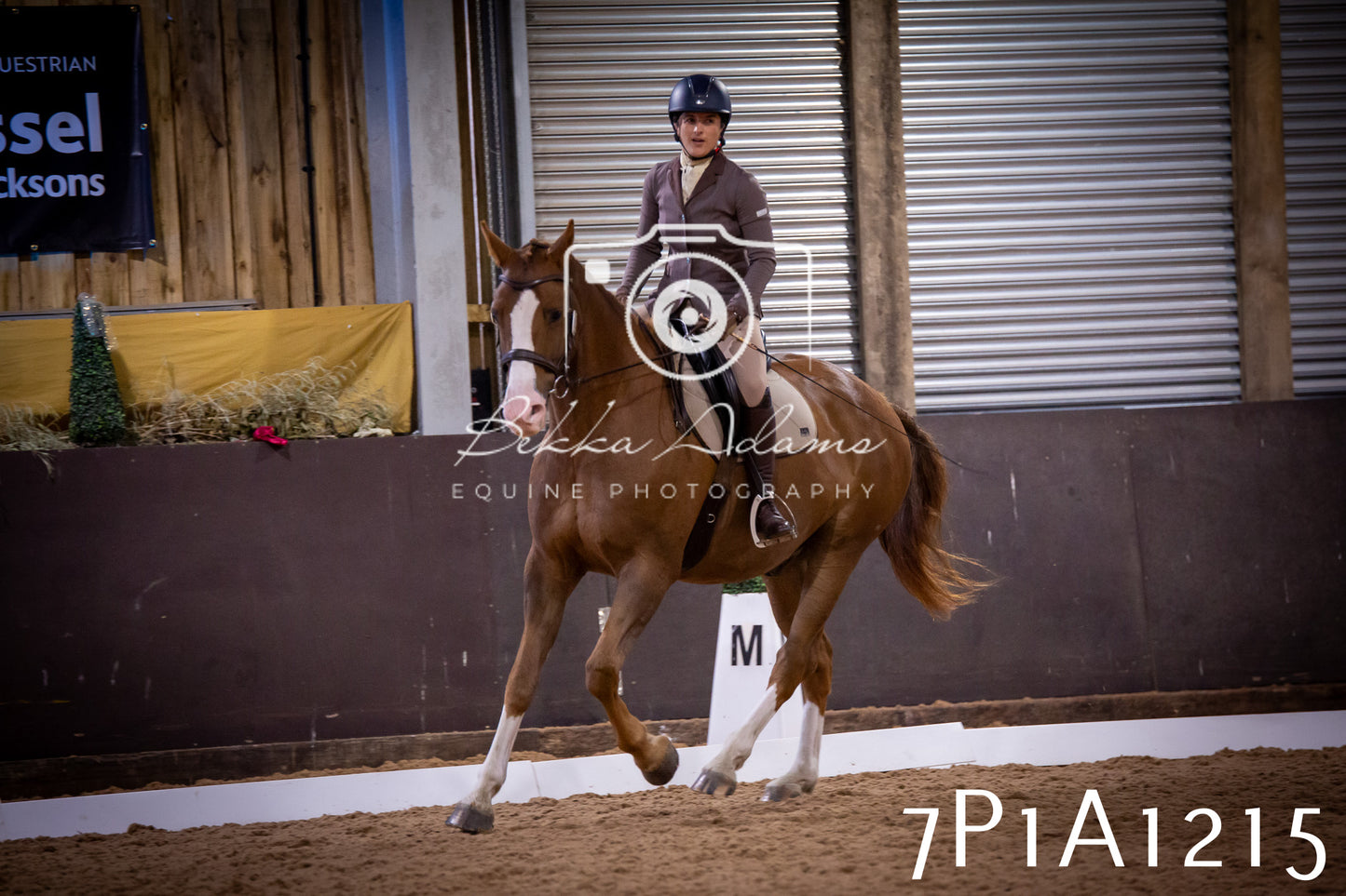 JHOYS 2025 - Dressage - 14th September pt1