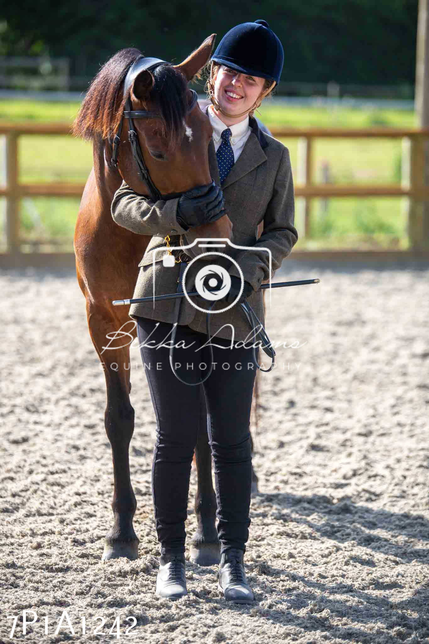 Home Farm Annual Show - Inhand Showing 19th August 2023