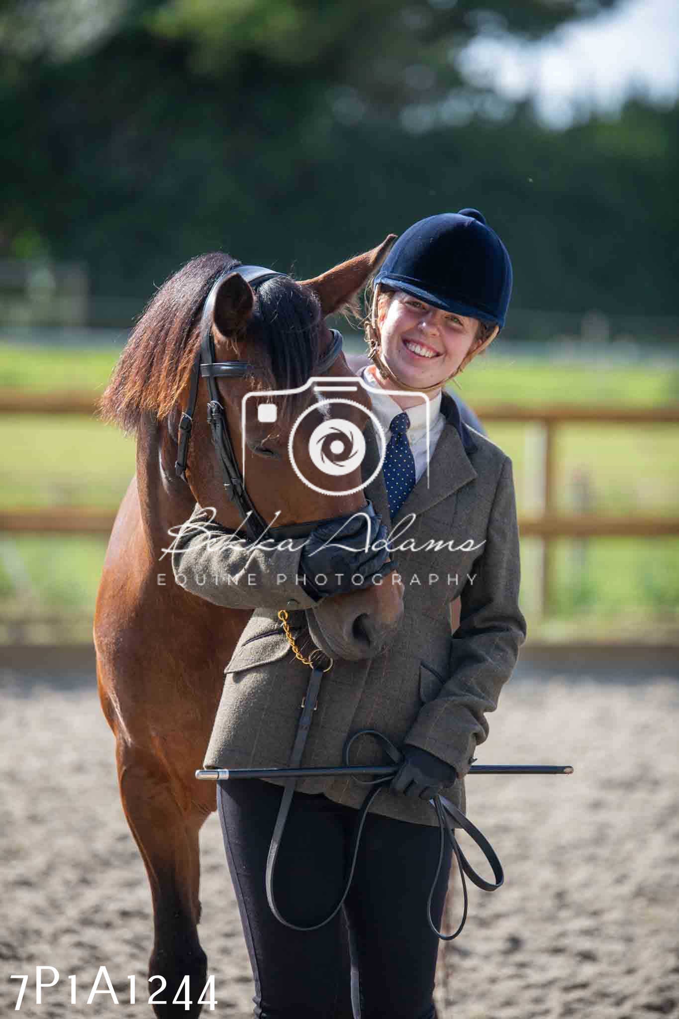 Home Farm Annual Show - Inhand Showing 19th August 2023