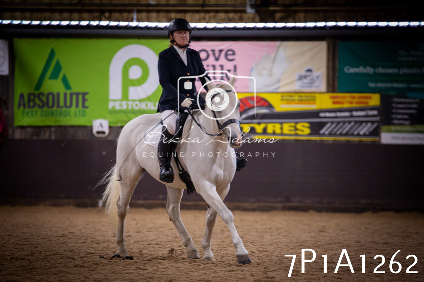 JHOYS 2025 - Dressage - 14th September pt1