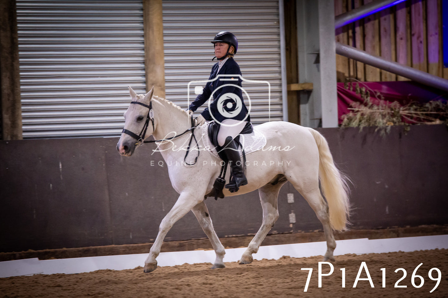 JHOYS 2025 - Dressage - 14th September pt1