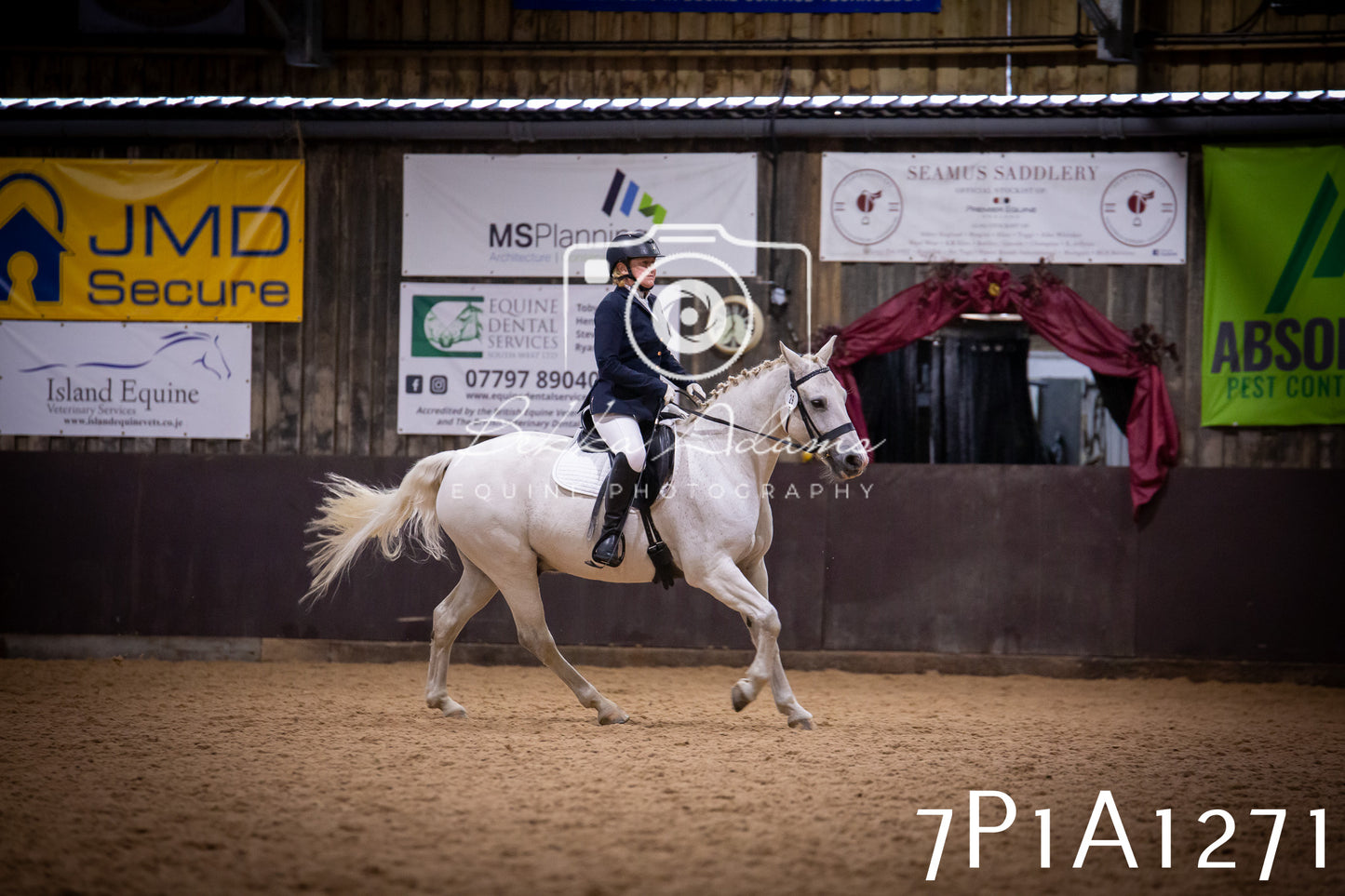 JHOYS 2025 - Dressage - 14th September pt1