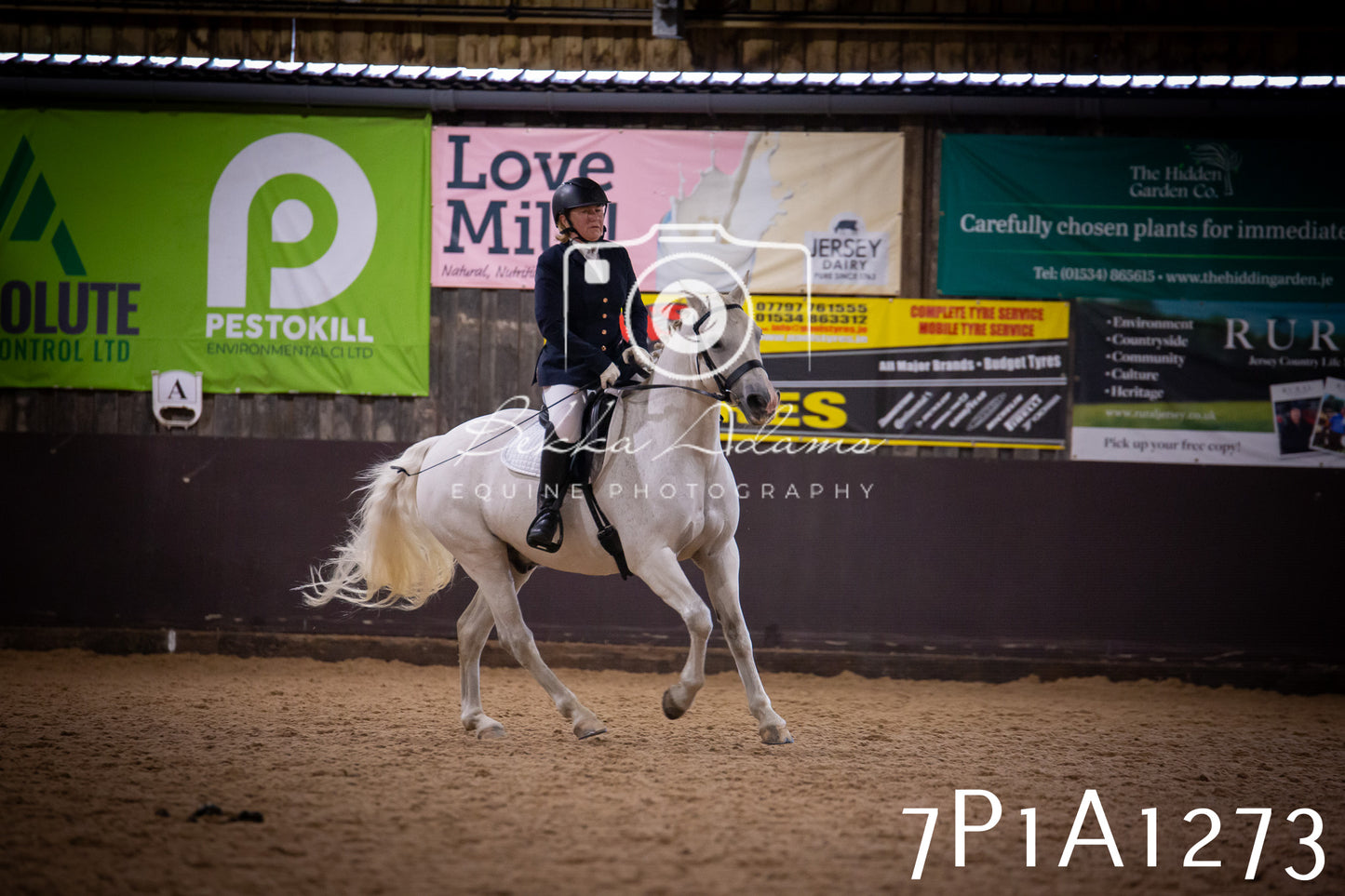 JHOYS 2025 - Dressage - 14th September pt1