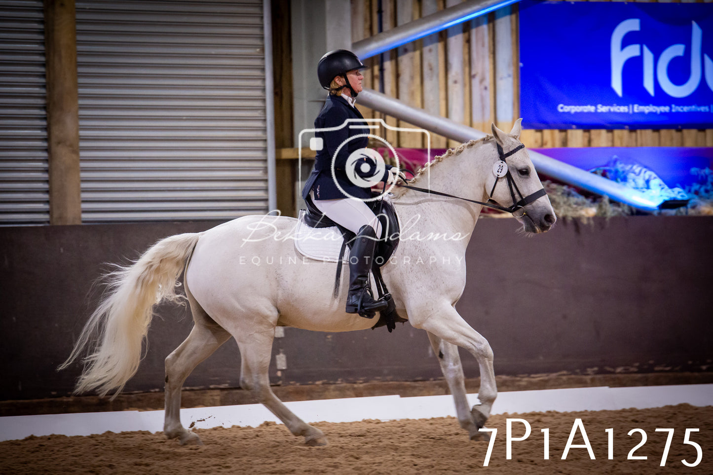 JHOYS 2025 - Dressage - 14th September pt1