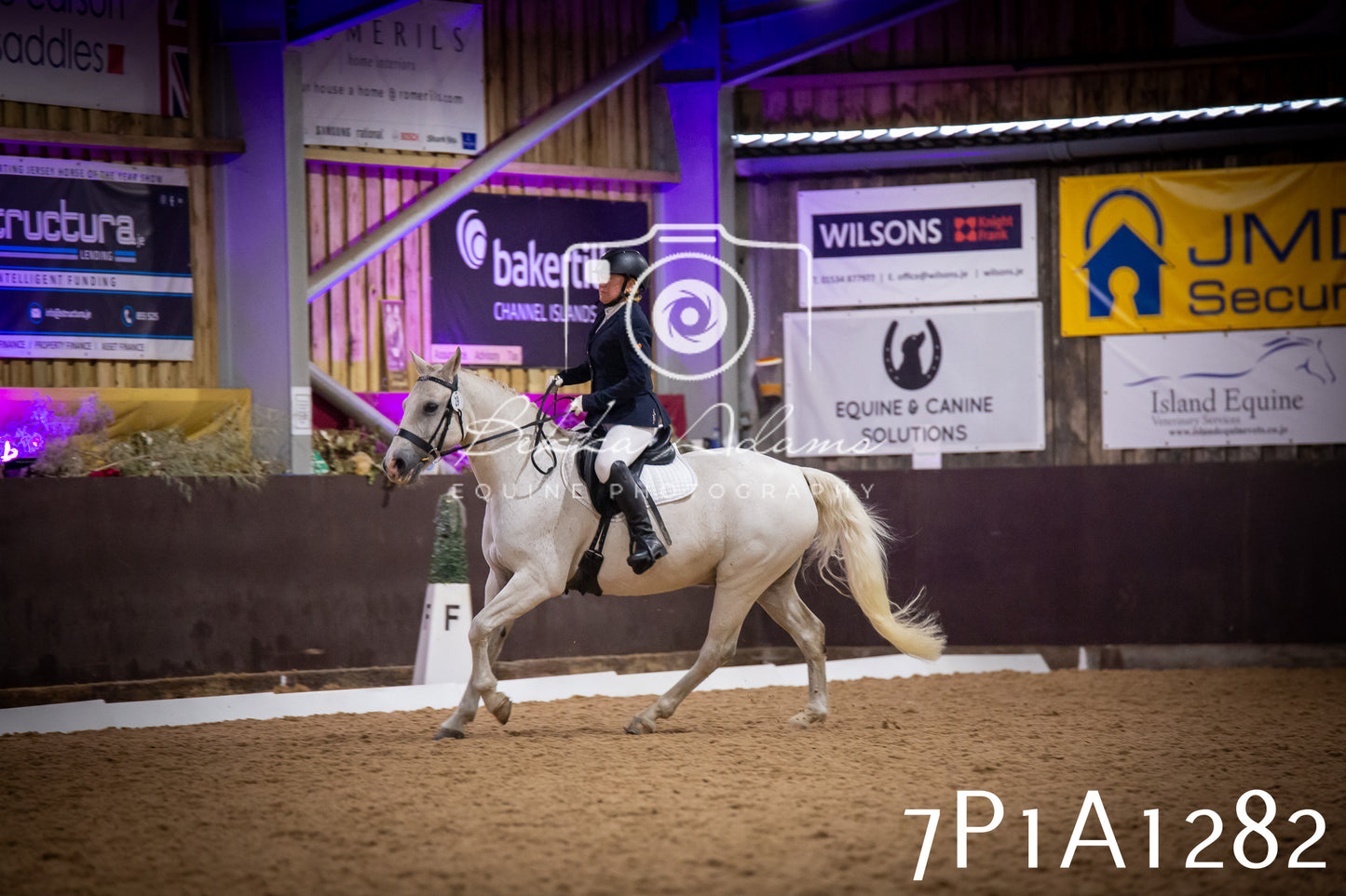 JHOYS 2025 - Dressage - 14th September pt1