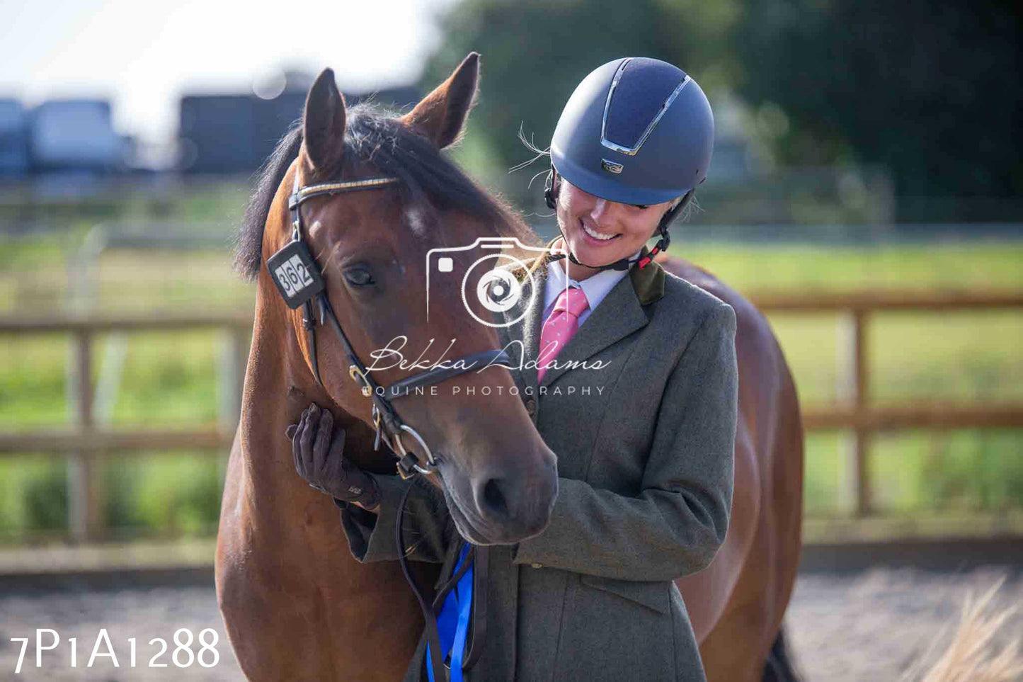 Home Farm Annual Show - Inhand Showing 19th August 2023