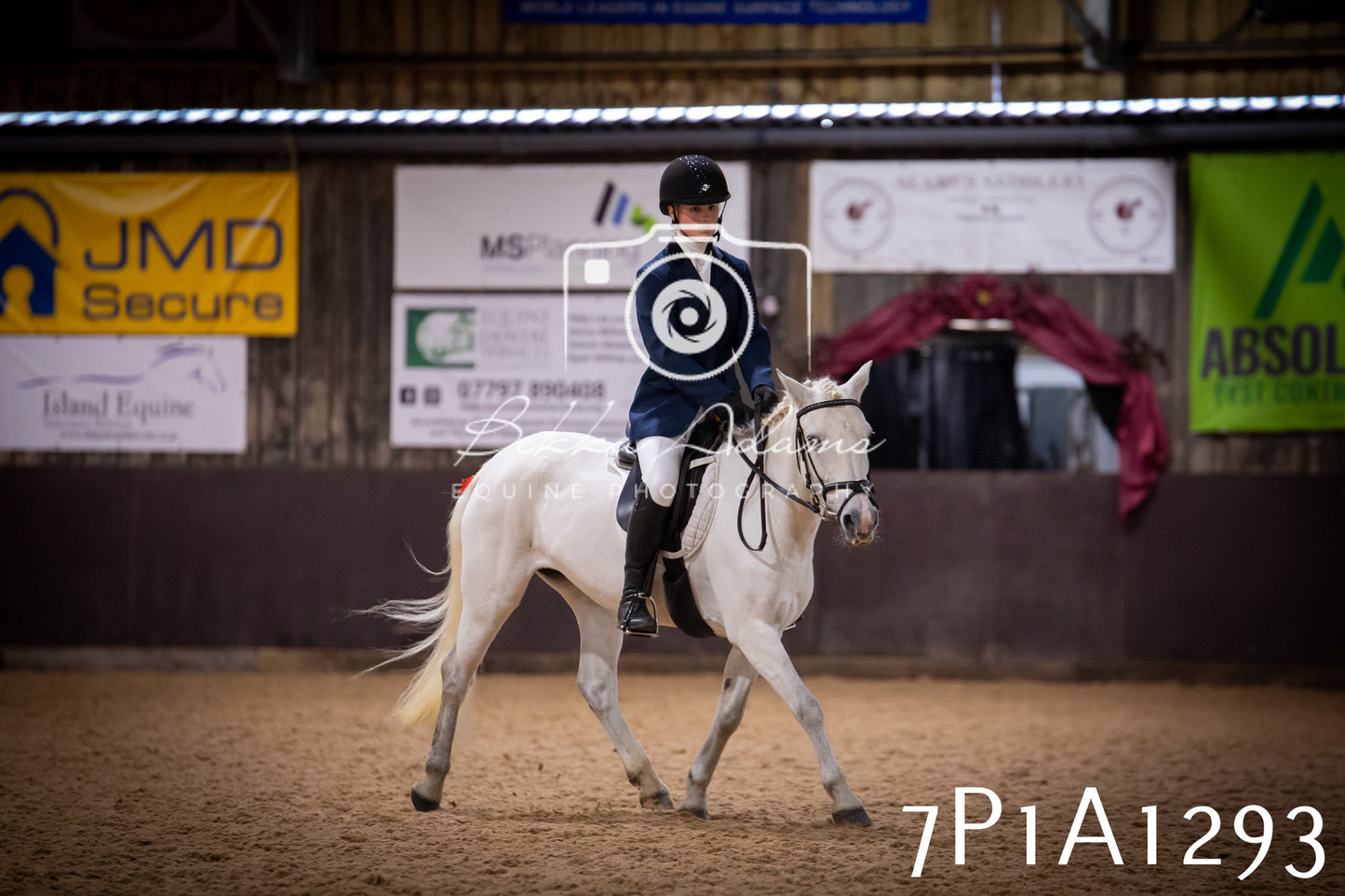 JHOYS 2025 - Dressage - 14th September pt1
