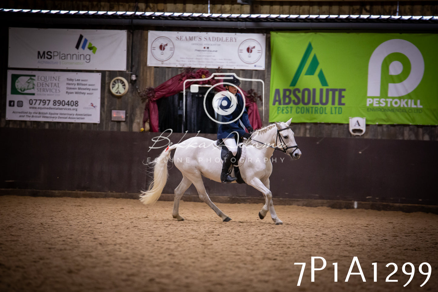 JHOYS 2025 - Dressage - 14th September pt1