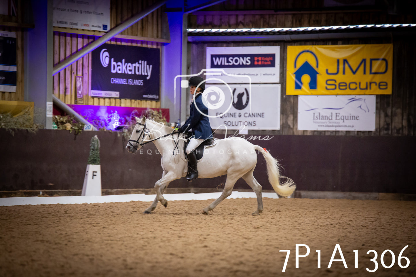 JHOYS 2025 - Dressage - 14th September pt1