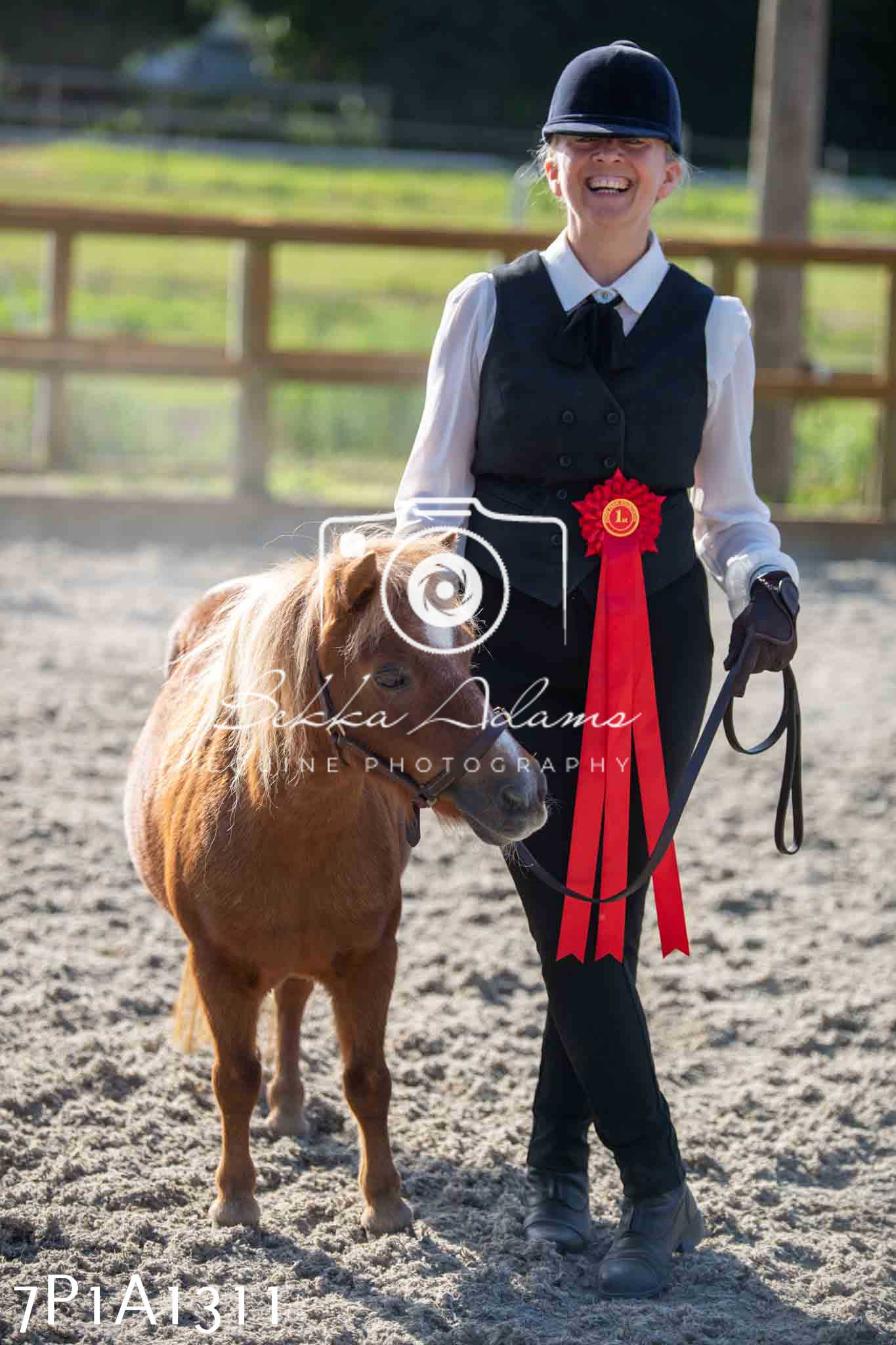 Home Farm Annual Show - Inhand Showing 19th August 2023