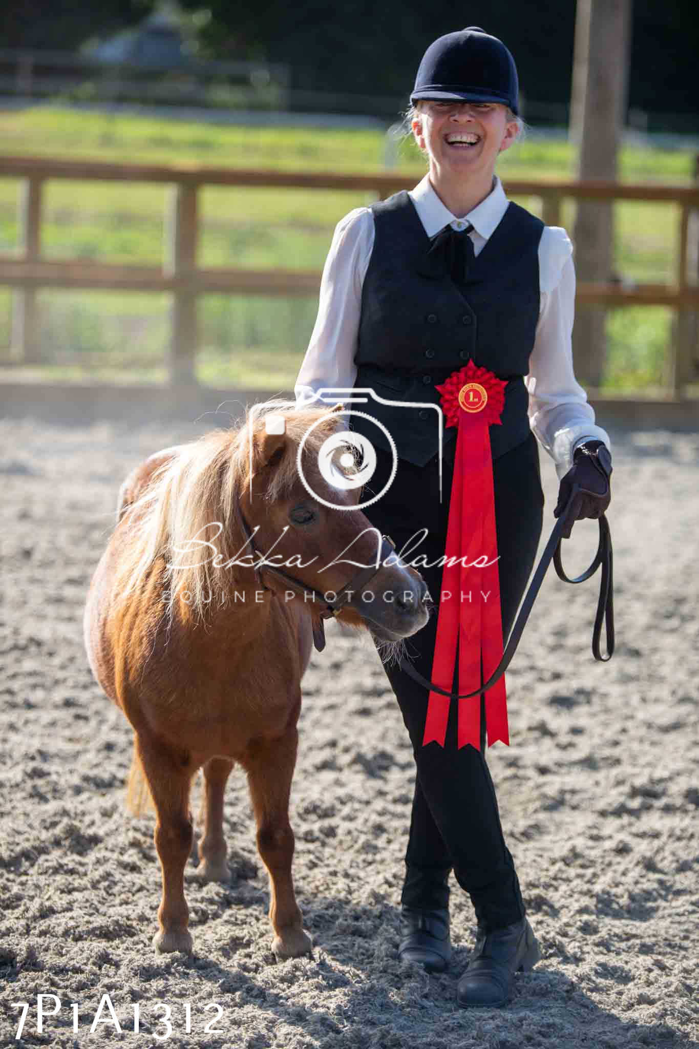 Home Farm Annual Show - Inhand Showing 19th August 2023