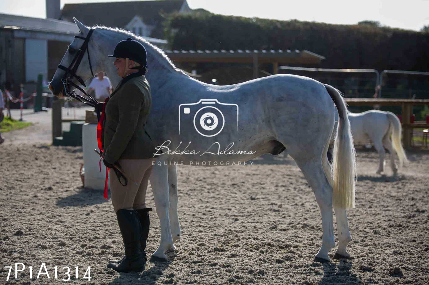 Home Farm Annual Show - Inhand Showing 19th August 2023