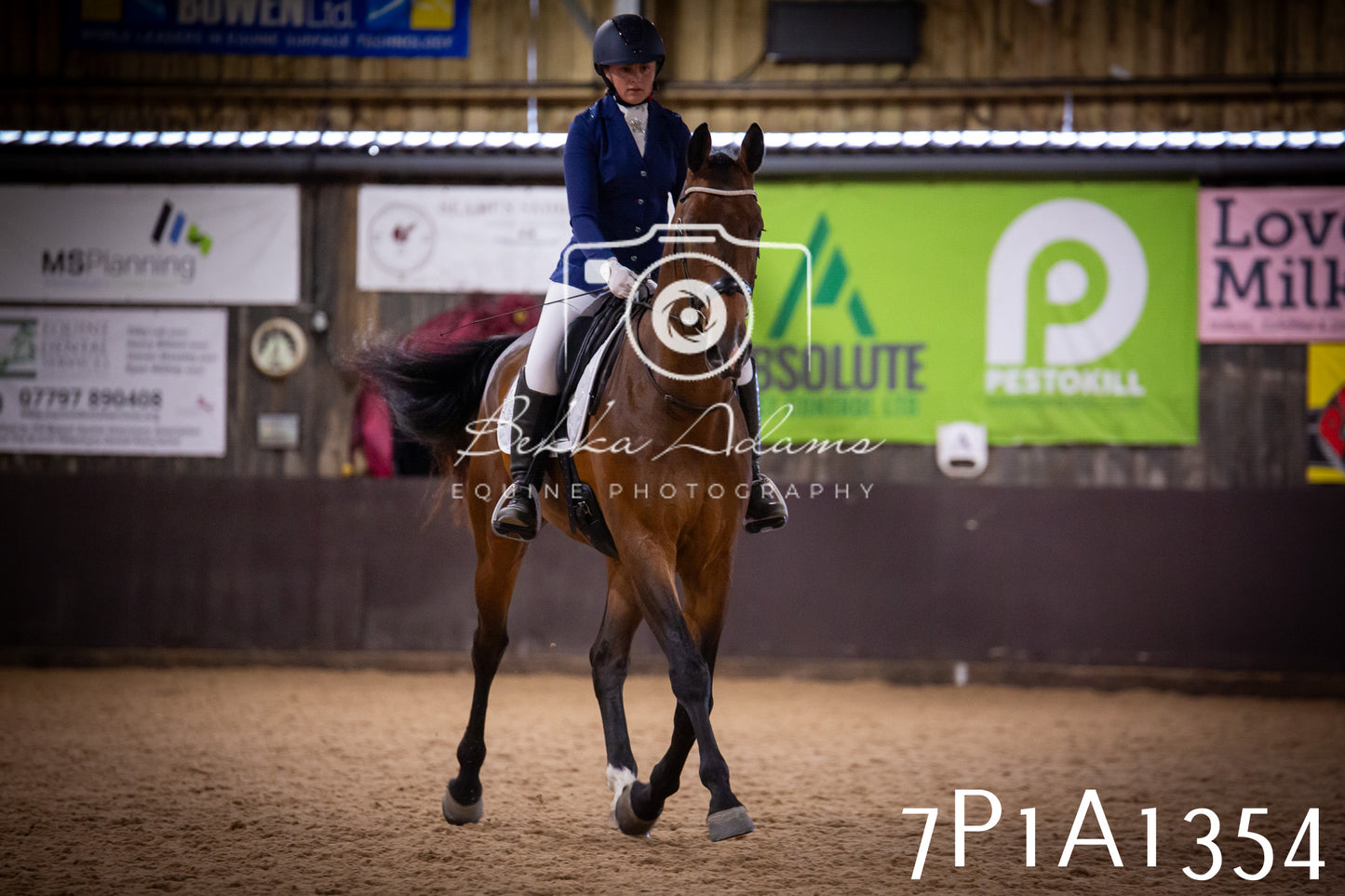 JHOYS 2025 - Dressage - 14th September pt2