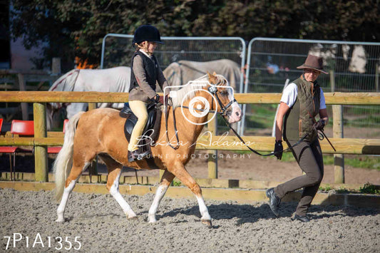Home Farm Annual Show -Ridden Showing 20th August 2023
