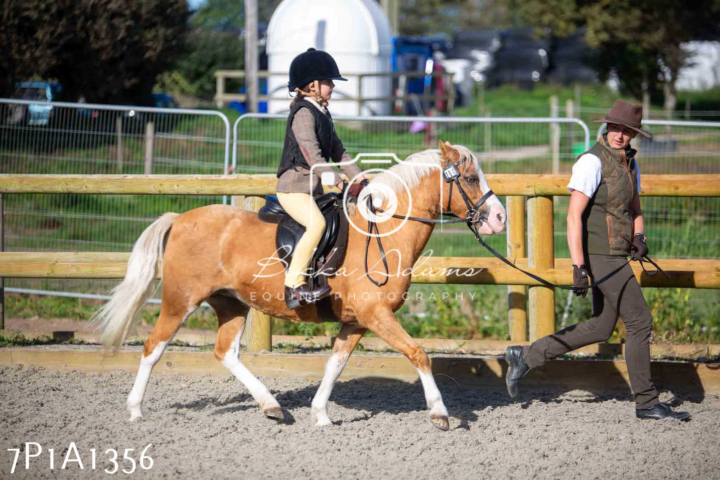 Home Farm Annual Show -Ridden Showing 20th August 2023