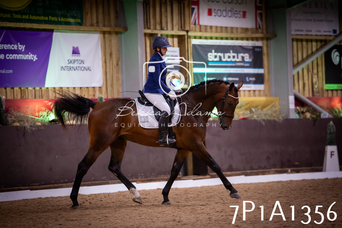 JHOYS 2025 - Dressage - 14th September pt2