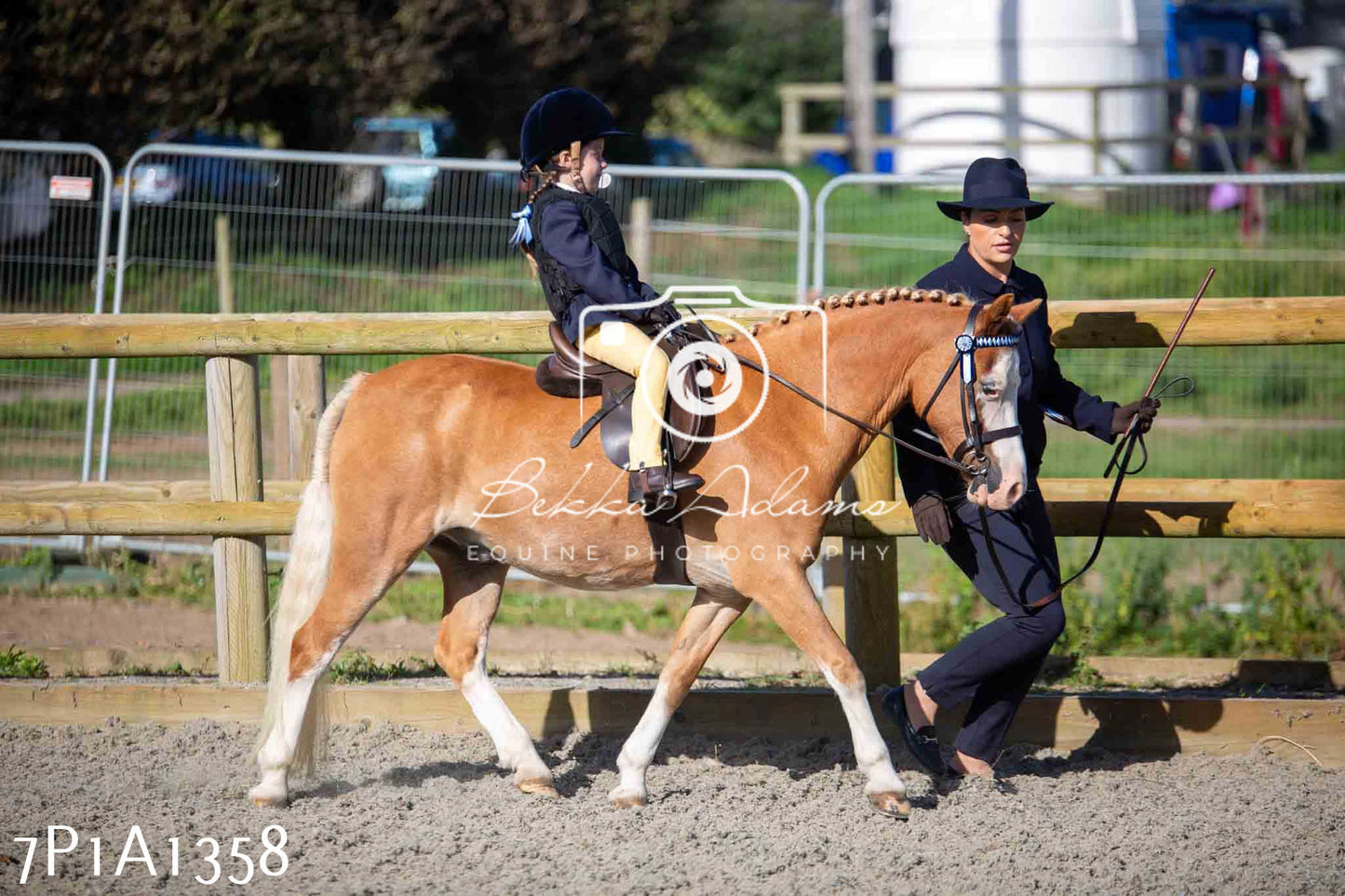Home Farm Annual Show -Ridden Showing 20th August 2023