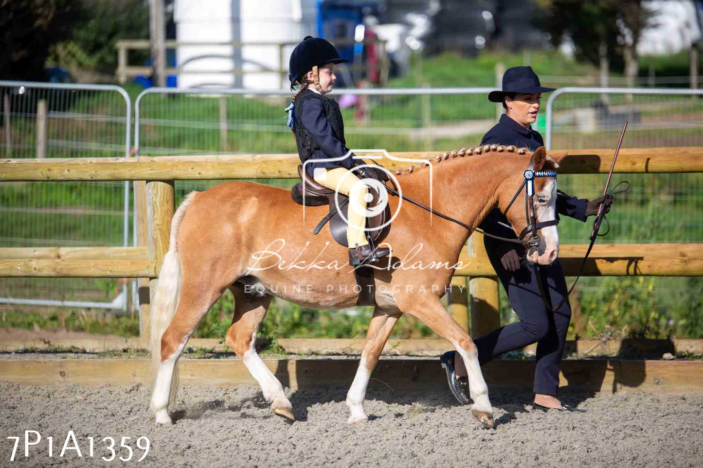 Home Farm Annual Show -Ridden Showing 20th August 2023