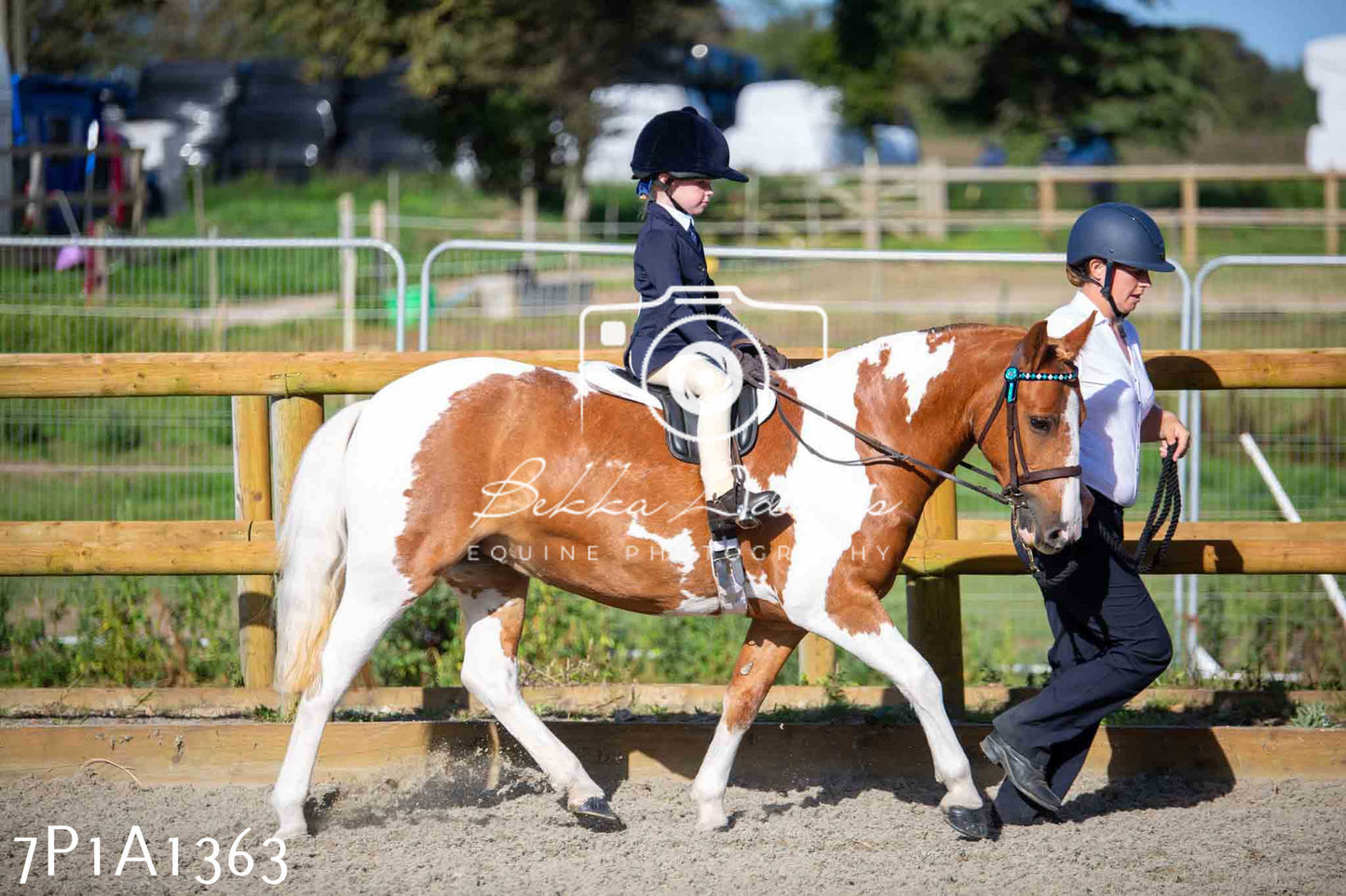 Home Farm Annual Show -Ridden Showing 20th August 2023