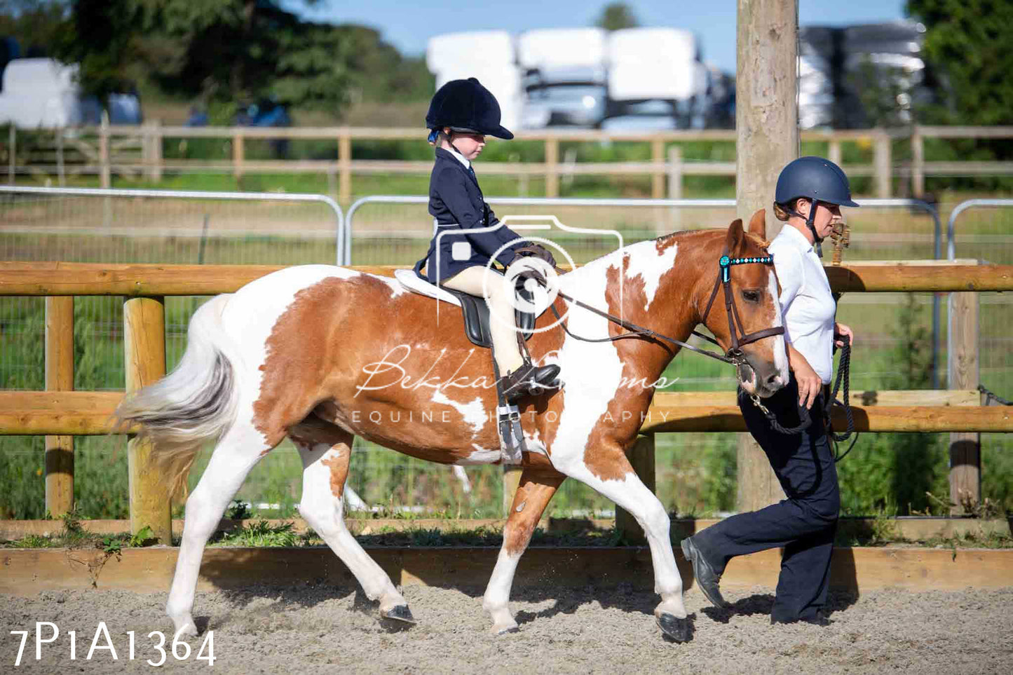Home Farm Annual Show -Ridden Showing 20th August 2023