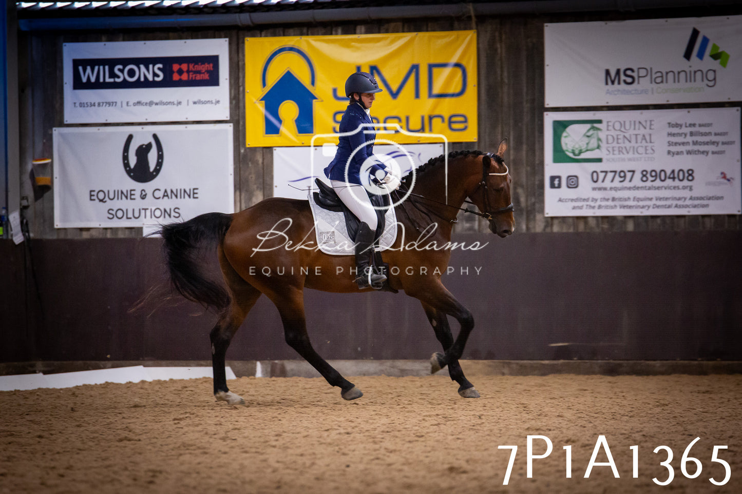 JHOYS 2025 - Dressage - 14th September pt2
