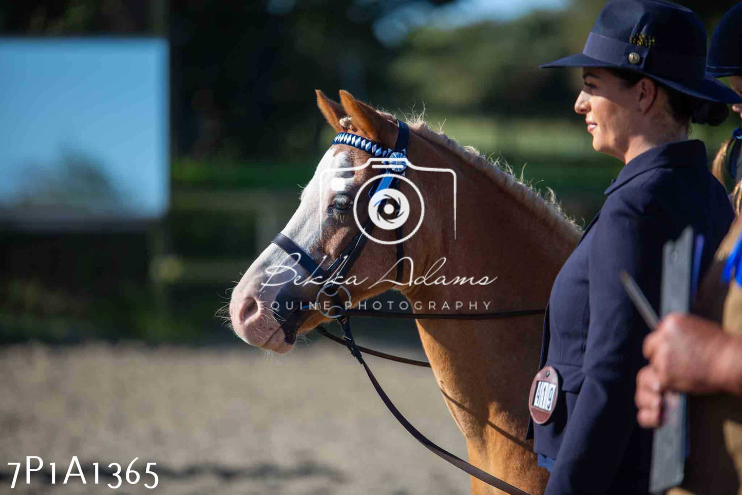 Home Farm Annual Show -Ridden Showing 20th August 2023