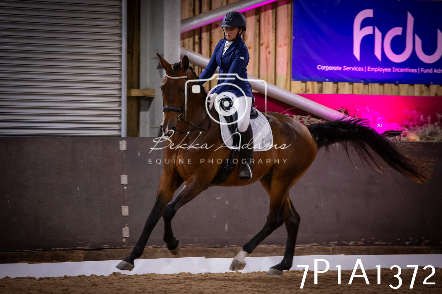 JHOYS 2025 - Dressage - 14th September pt2