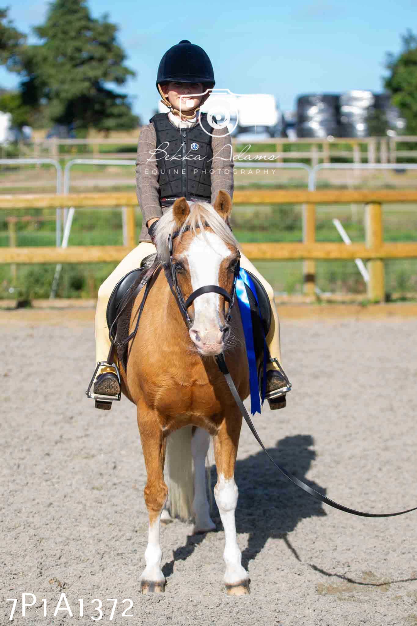 Home Farm Annual Show -Ridden Showing 20th August 2023