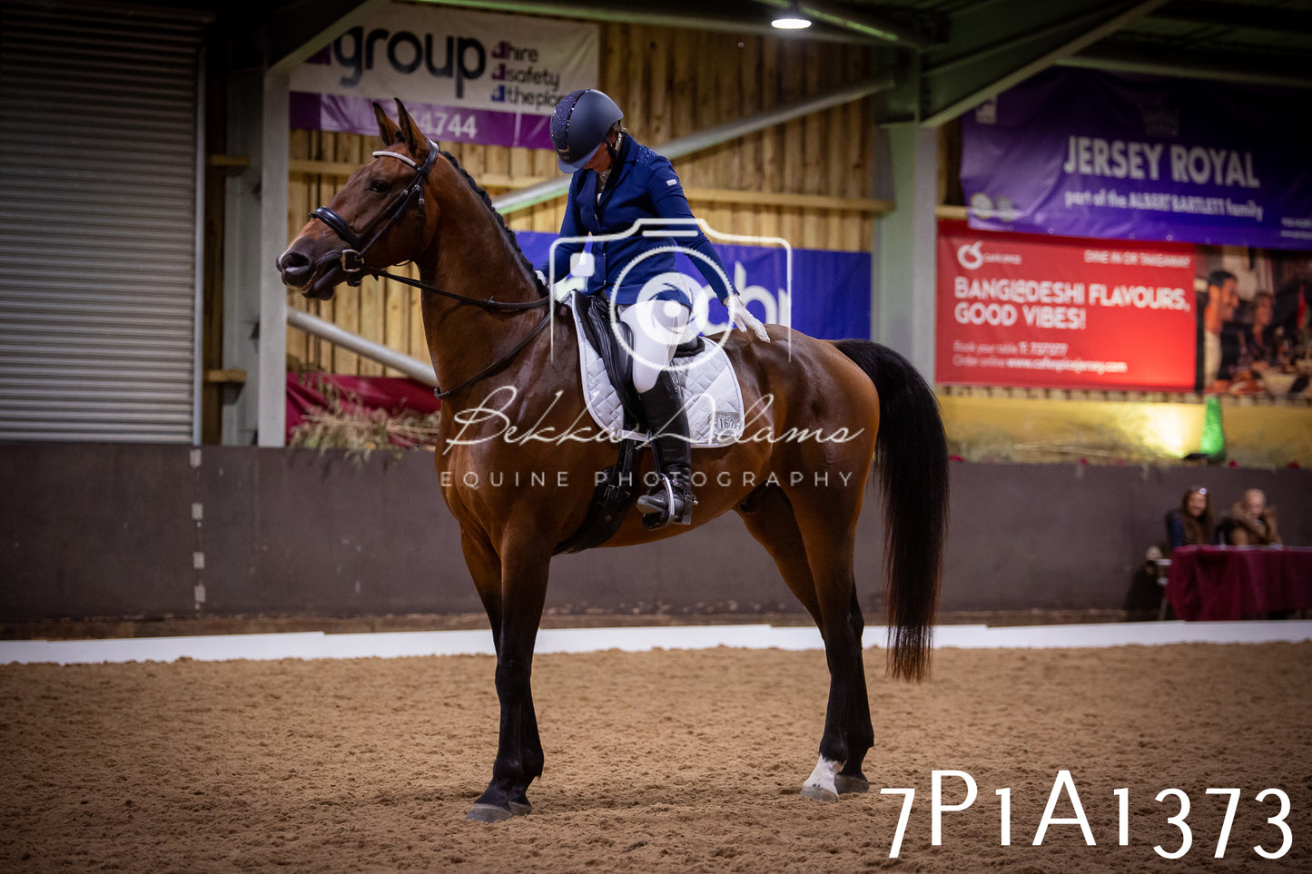 JHOYS 2025 - Dressage - 14th September pt2