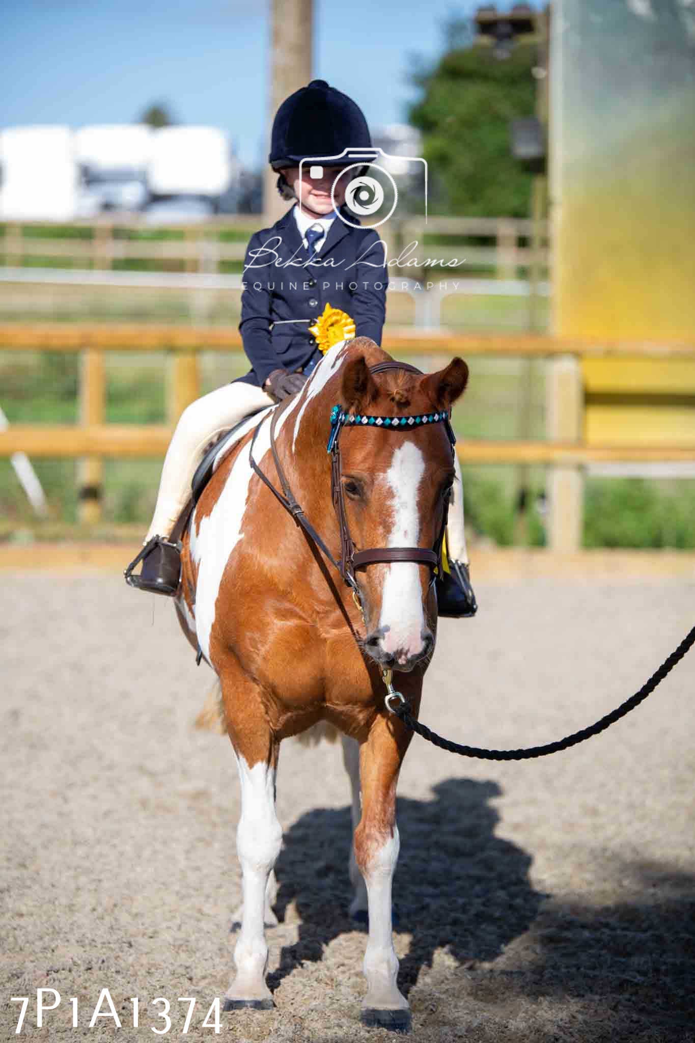 Home Farm Annual Show -Ridden Showing 20th August 2023