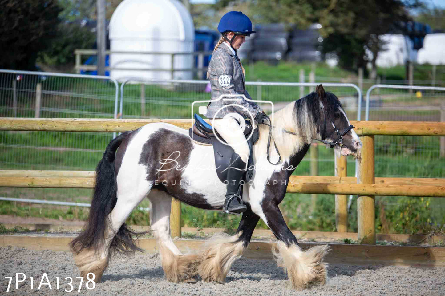 Home Farm Annual Show -Ridden Showing 20th August 2023