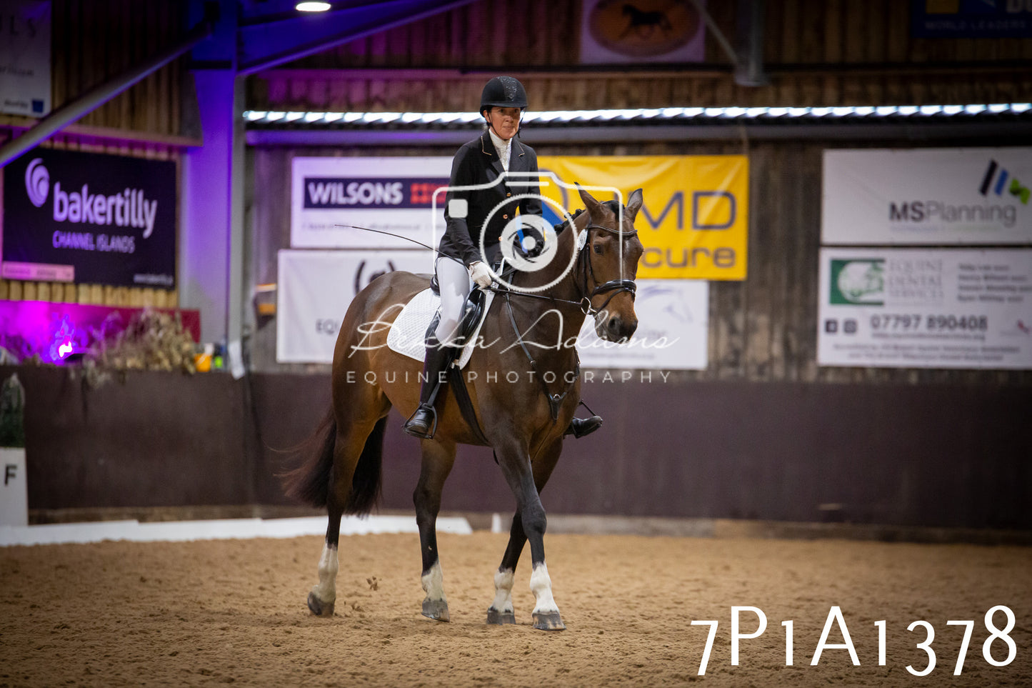 JHOYS 2025 - Dressage - 14th September pt2