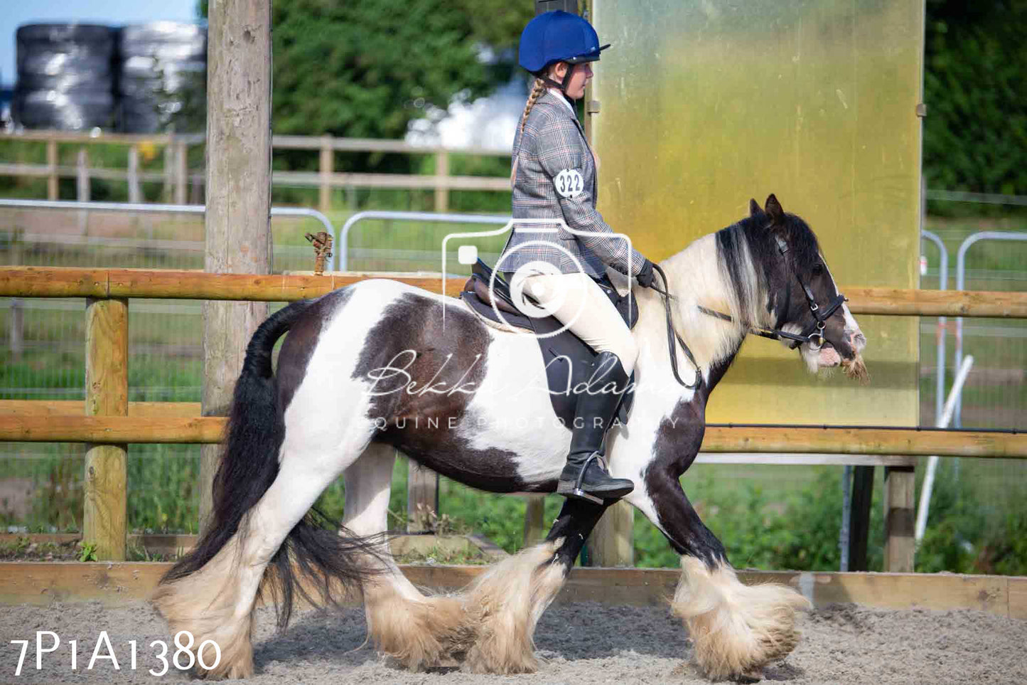 Home Farm Annual Show -Ridden Showing 20th August 2023