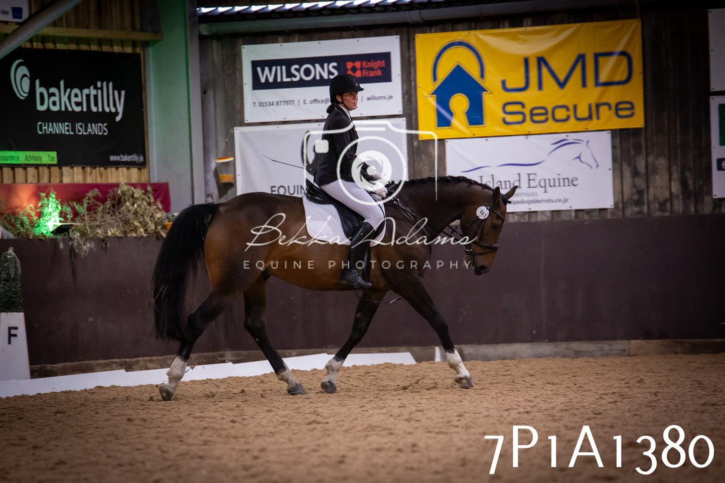 JHOYS 2025 - Dressage - 14th September pt2