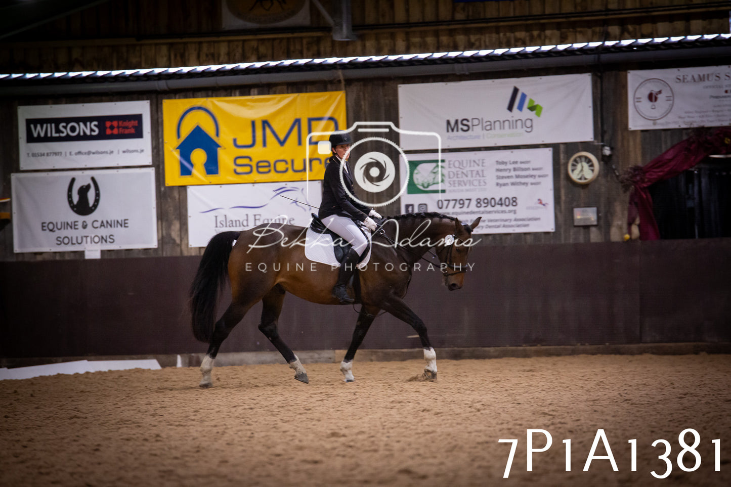 JHOYS 2025 - Dressage - 14th September pt2