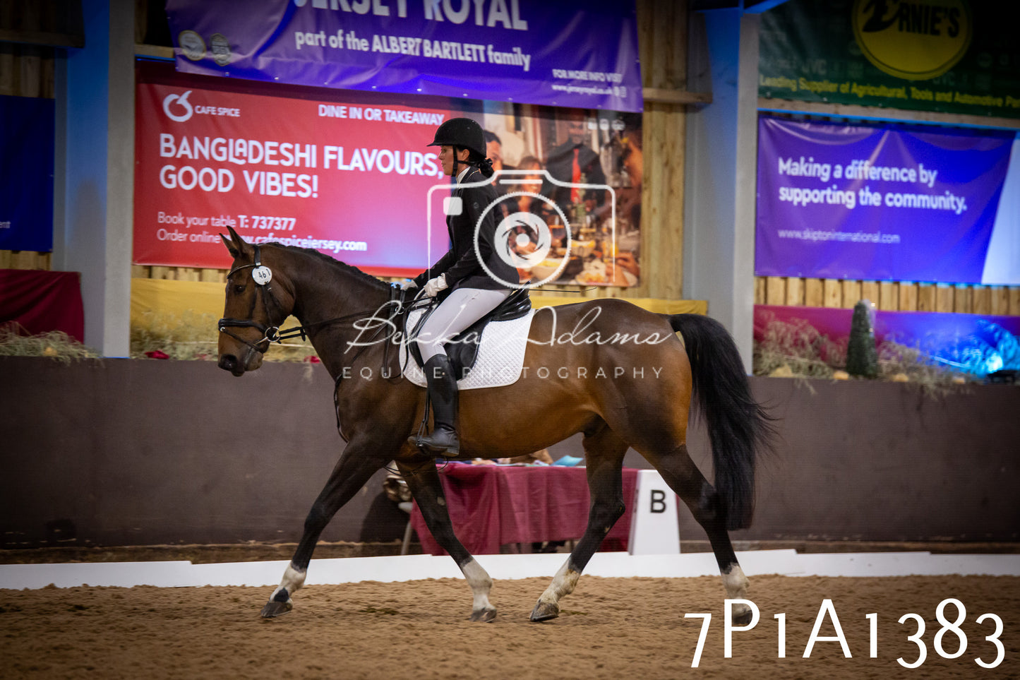 JHOYS 2025 - Dressage - 14th September pt2