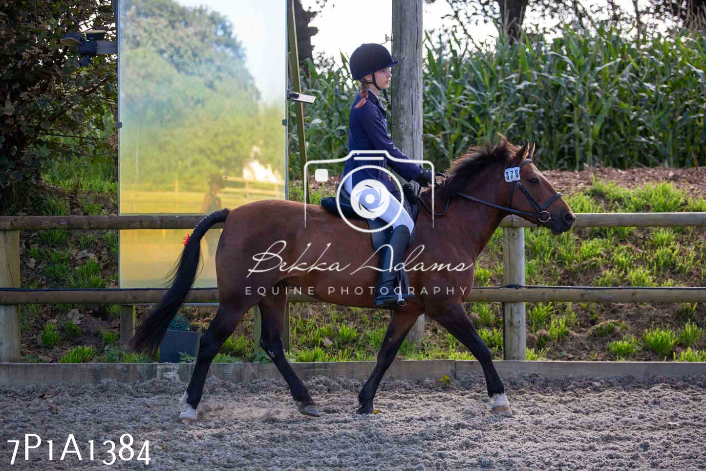 Home Farm Annual Show -Ridden Showing 20th August 2023