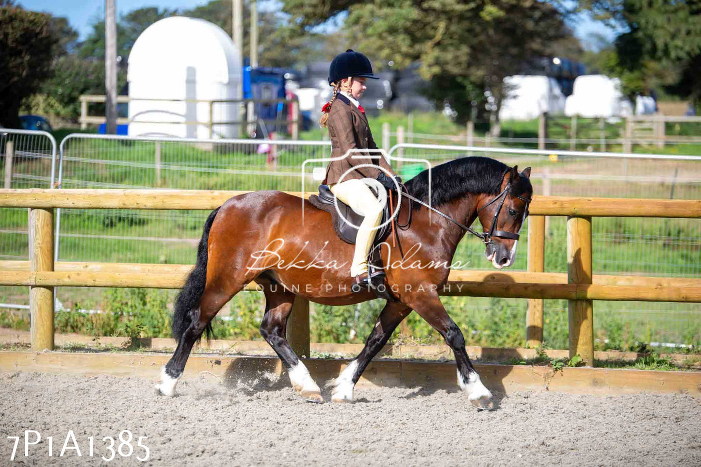 Home Farm Annual Show -Ridden Showing 20th August 2023