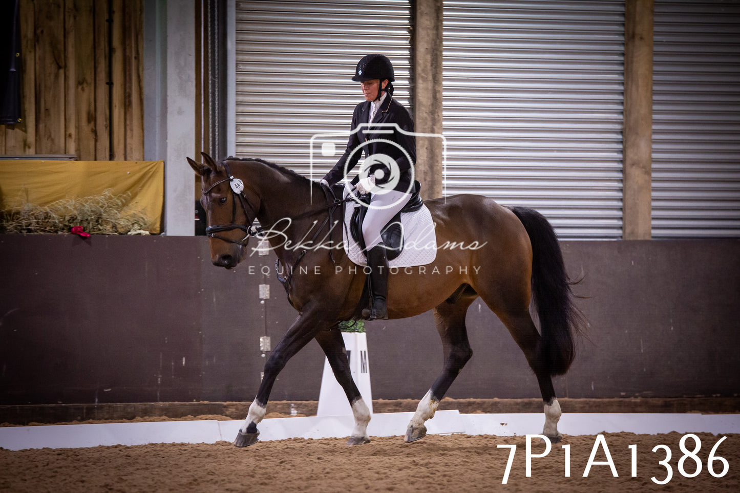 JHOYS 2025 - Dressage - 14th September pt2