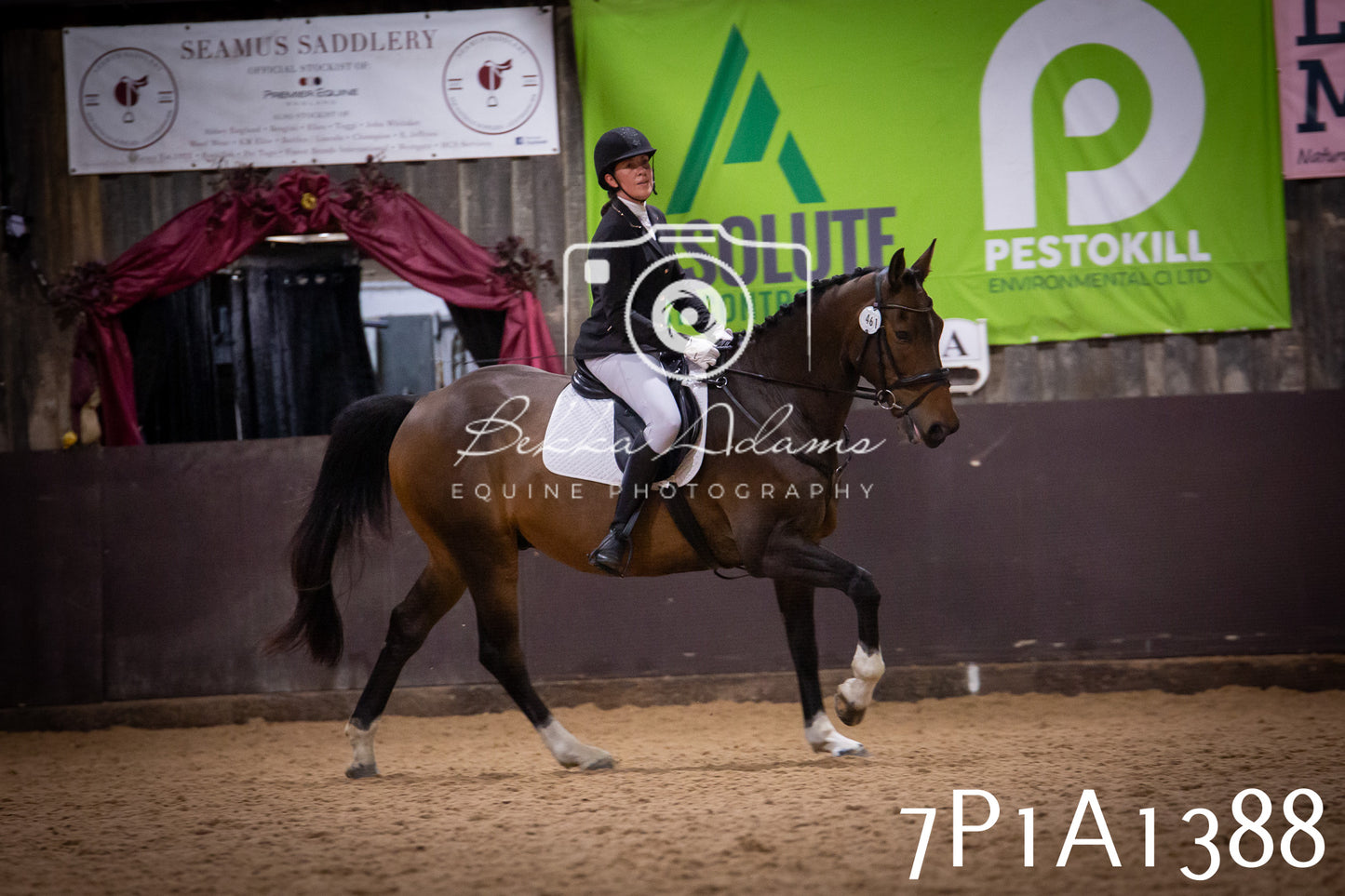 JHOYS 2025 - Dressage - 14th September pt2