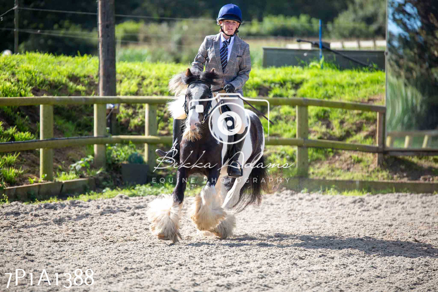 Home Farm Annual Show -Ridden Showing 20th August 2023