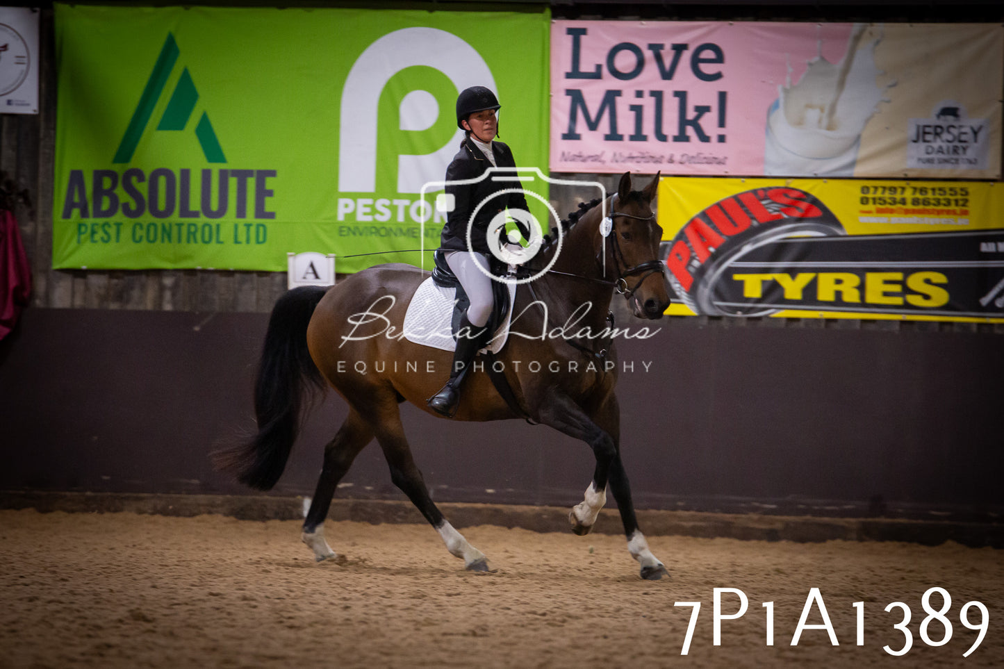 JHOYS 2025 - Dressage - 14th September pt2